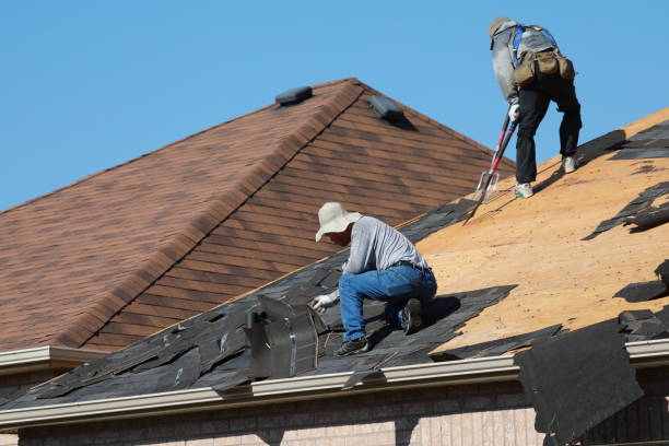 Best Roof Ventilation Installation  in Montclair, VA
